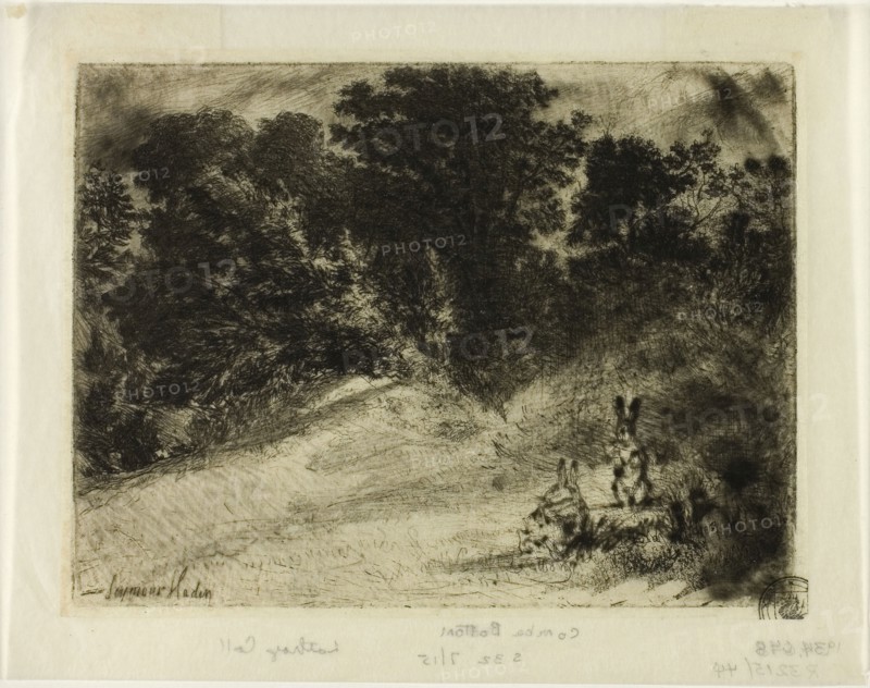 Combe Bottom, 1860, Francis Seymour Haden, English, 1818-1910, England, Etching and drypoint on ivory laid paper, 114 × 152 mm (image/plate), 142 × 181 mm (sheet), Cupid and Psyche (L’Amour et Psyché), 1862, Lorenz Frølich (Danish, 1820-1908), written by Apuleius (Roman, active c.155), published by Pierre-Jules Hetzel (French, 1814-1886), printed by Beillet (French, 19th century), Denmark, Book with twenty-one etchings in black on cream wove paper, 500 × 359 × 15 mm, Florence Emblems Schoonhovii I.C. Goudani (Emblemata Florentii Schoonhovii I.C. Goudani), 1626, Crispin de Passe, II (Dutch, c. 1597-c. 1670), written by Florentius Schoonhovius (Dutch, 1594-1648), published by Lugduni Batavorum (Dutch, 17th century), Netherlands, Book with engravings in black on cream laid paper, 200 x 160 x 20 mm