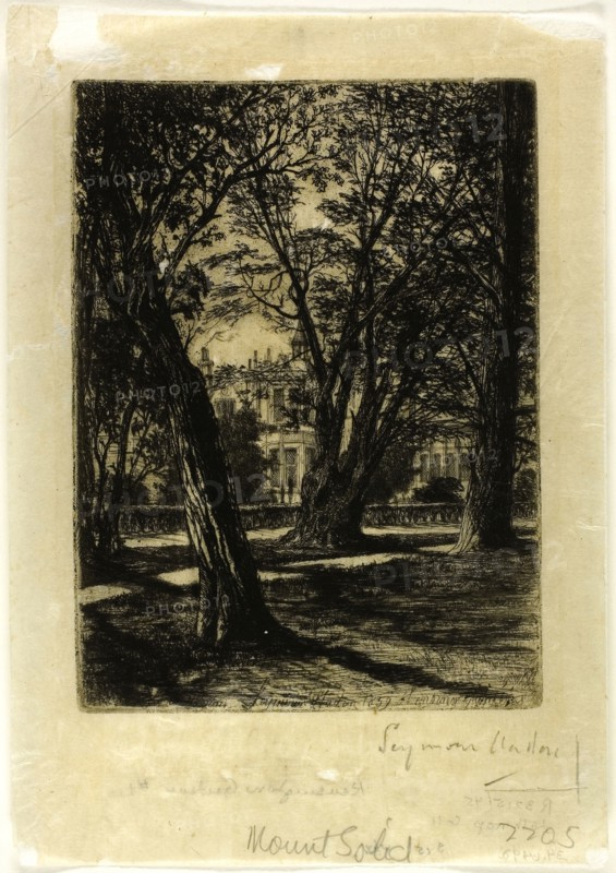 Kensington Gardens, No. I (small plate), 1859, Francis Seymour Haden, English, 1818-1910, England, Etching and drypoint on ivory Japanese paper, 160 × 118 mm (image/plate), 218 × 151 mm (sheet), St. Clement’s Investigations Volume X (Divi Clementis Recognitionum Libri X), 1526, Hans Holbein, the younger (German, 1497-1543), published by Johann Bebel (Swiss, active 1520-1540), Germany, Book with letterpress in black on cream laid paper, 305 × 210 × 25 mm, The Happy Owls (Uilen-Geluk), 1895, Theodoor van Hoytema (Dutch, 1863-1917), published by C.M. Van Gogh (Dutch, 19th century), Netherlands, Book with twenty lithographs in color on cream wove paper, 248 x 203 x 8 mm