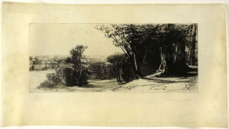 Early Morning, Richmond Park, 1859, Francis Seymour Haden, English, 1818-1910, England, Etching and drypoint on ivory wove paper, 113 × 276 mm (image/plate), 199 × 366 mm (sheet), Lives of Illustrious Men (Vitae Illustrium Virorum), 1576–78, Tobias Stimmer (Swiss, 1539-1584), written by Paolo Giovio (Italian, 1483-1552), published by Petri Pernae Typographi (Italian, 16th century), Switzerland, Book with woodcuts and letterpress in black on cream laid paper, 345 x 243 x 74 mm, Alcide al Bivio (Hercules at the Crossroads), 1760, Anton Tischler (Austrian, 1721-1780), Jacob Matthias Schmutzer (Austrian, 1733-1811), and Johann Ernst Mansfeld (Czech, 1739-1796), poetry by Pietro Metastasio (Italian, 1698-1782), composed by Johann Adolf Hasse (German, 1699-1783), Austria, Book with engravings in black on cream laid paper, 240 × 185 × 14 mm, Songs and Pictures (Lieder und Bilder), 1838, Robert Reinick (German, 1805-1852), Adolf Schrödter (German, 1805-1875), Eduard Steinbrück (German, 1802-18...