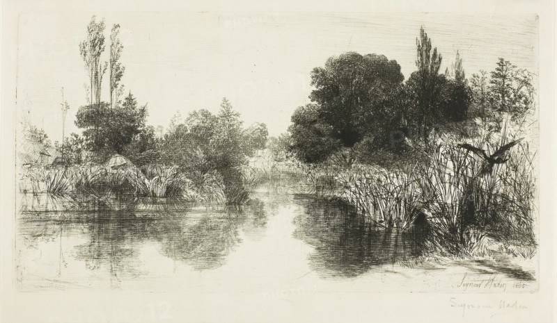 Shere Mill Pond, No. II (large plate), c. 1860, Francis Seymour Haden, English, 1818-1910, England, Etching with drypoint on cream laid paper, 178 × 333 mm (image/plate), 207 × 350 mm (sheet)