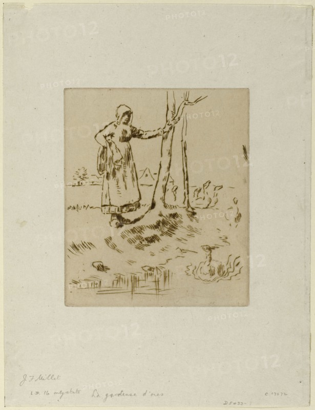 A Girl Minding Geese, 1855–56, Jean François Millet, French, 1814-1875, France, Drypoint in brown ink on ivory wove China paper, 143 × 121 mm (image), 263 × 201 mm (sheet)