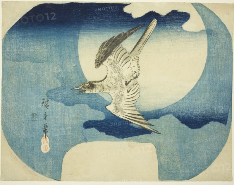 A Cuckoo against the Moon, c. 1843/46, Utagawa Hiroshige ?? ??, Japanese, 1797-1858, Japan, Color woodblock print, uchiwa-e, 24 x 30.7 cm (9 1/8 x 11 5/8 in.)