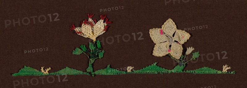 Edging, 1875/1900, Eastern Mediterranean, probably Cyprus, Eastern Mediterranean Region, Silk and horsehair, needle lace, 5.0 × 18.3 cm (2 × 7 1/4 in.)