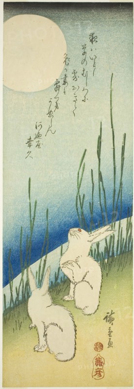 Rabbits under full moon, c. 1830s, Utagawa Hiroshige ?? ??, Japanese, 1797-1858, Japan, Color woodblock print, chutanzaku, 37 x 12.5 cm