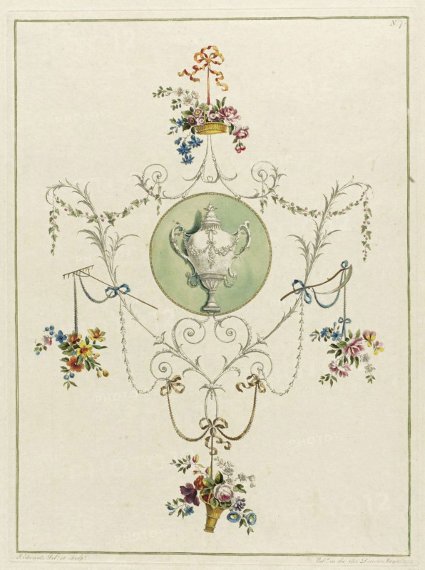 Decorative Floral Print, from A Collection of Flowers Drawn after Nature, 1793, John Edwards, British, 18th and 19th century, England, Hand-colored etching on paper, 327 × 234 mm (image), 338 × 250 mm (plate), 447 × 329 mm (sheet)