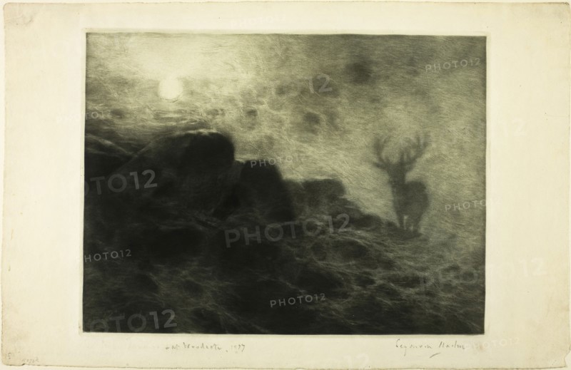 An Early Riser, 1897, Francis Seymour Haden, English, 1818-1910, England, Mezzotint with etching, in blue-green ink, on ivory laid paper, 226 × 300 mm (image/plate), 268 × 415 mm (sheet)