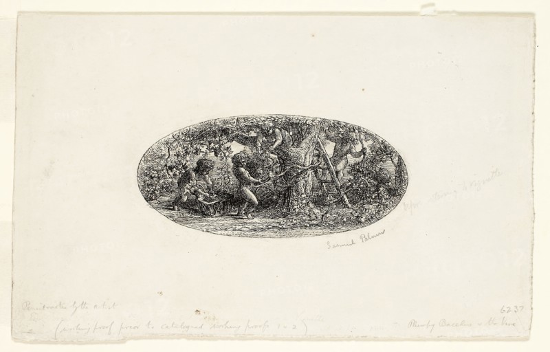 Plumpy Bacchus, n.d., Samuel Palmer, English, 1805-1881, England, Etching in black on paper, 52 × 112 mm (image), 135 × 220 mm (sheet)