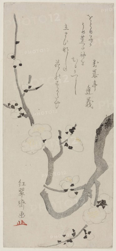 Plum Branch, late 18th century, Kitao Shigemasa, Japanese, 1739-1820, Japan, Color woodblock print, surimono, 8 3/8 x 3 3/4 in.