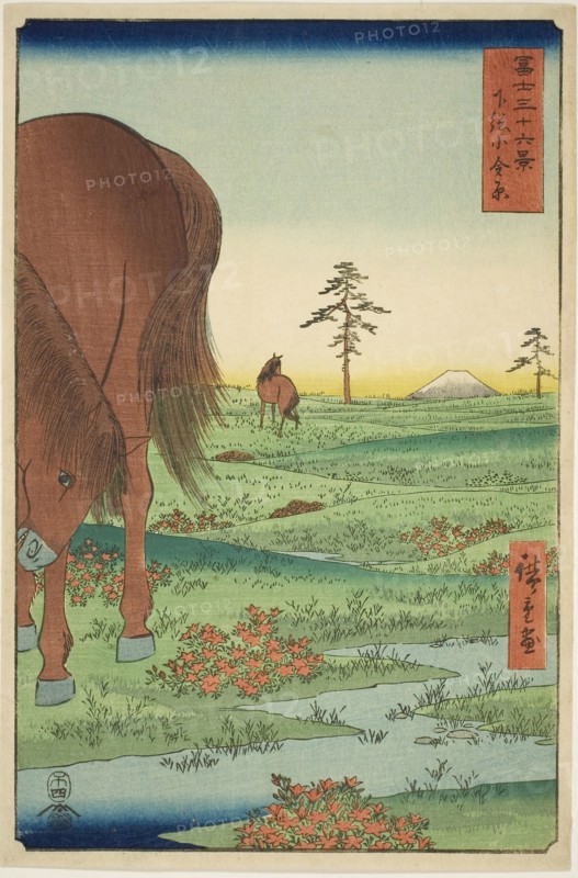 Kogane Plain in Shimosa Province (Shimosa Koganehara), from the series Thirty-six Views of Mount Fuji (Fuji sanjurokkei), 1858, Utagawa Hiroshige ?? ??, Japanese, 1797-1858, Japan, Color woodblock print, oban, 34.9 x 23.1 cm (13 3/4 x 9 1/16 in.)
