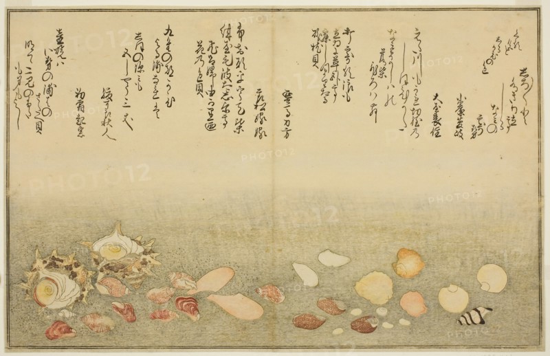 Shiro-gai, namima-gashiwa, makura-gai, iro-gai, aza-gai, sadae-gai, from the illustrated book Gifts from the Ebb Tide (Shiohi no tsuto), 1789, Kitagawa Utamaro ??? ??, Japanese, 1753 (?)-1806, Japan, Color woodblock print, double-page illustration from book