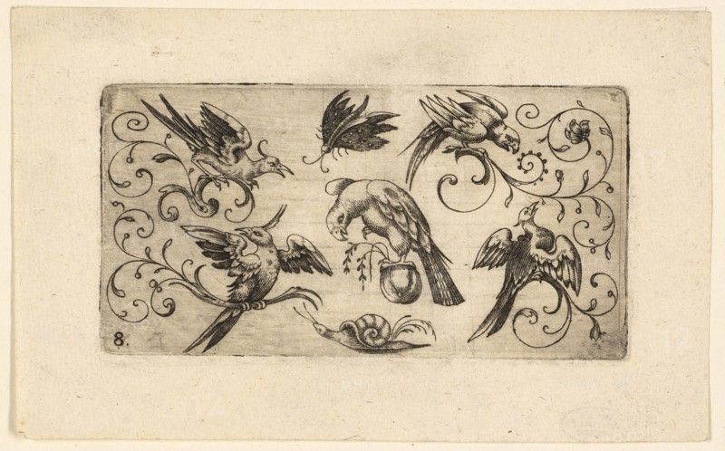 Ornament Panels with Birds: Plate 8, 1617, Adrian Muntink, Dutch, active 1597-1617, Netherlands, Engraving in black on paper, 51 x 57 mm (plate)