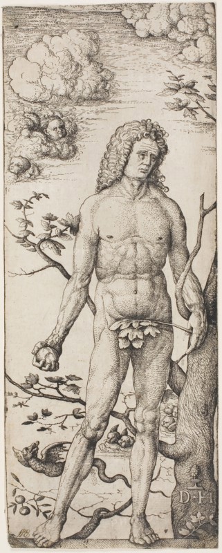 Adam, by 1522, Daniel Hopfer, I, German, 1470-1536, Germany, Etching in black on cream laid paper, 283 x 110 mm (image/plate/sheet)