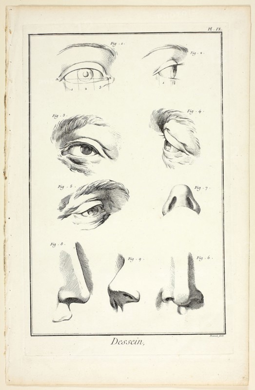 Design: Facial Anatomy from Encyclopédie, 1762/77, Benoît-Louis Prévost (French, c. 1735-1809), published by André le Breton (French, 1708-1779), Michel-Antoine David (French, c. 1707-1769), Laurent Durand (French, 1712-1763), and Antoine-Claude Briasson (French, 1700-1775), France, Etching, with engraving, on cream laid paper, 320 × 205 mm (image), 350 × 220 mm (plate), 400 × 260 mm (sheet)