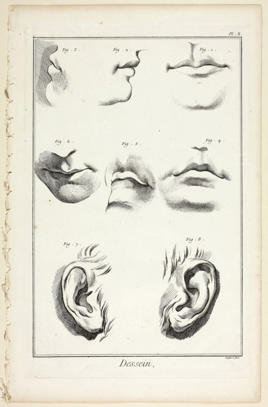 Design: Facial Anatomy from Encyclopédie, 1762/77, A. J. Defehrt (French, active 18th century), published by André le Breton (French, 1708-1779), Michel-Antoine David (French, c. 1707-1769), Laurent Durand (French, 1712-1763), and Antoine-Claude Briasson (French, 1700-1775), France, Etching, with engraving, on cream laid paper, 400 × 260 mm