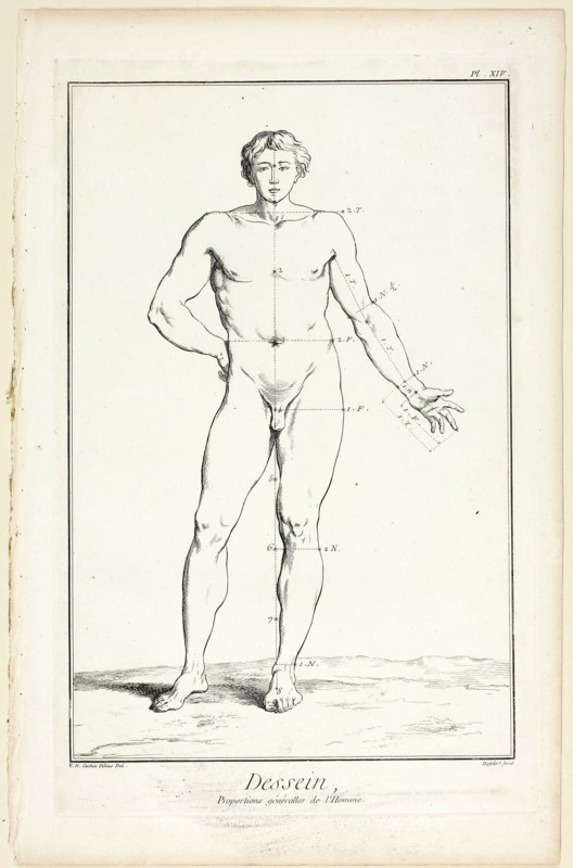 Design: General Proportions of the Male, from Encyclopédie, 1762/77, A. J. Defehrt (French, active 18th century), after Charles-Nicholas Cochin, the younger (French, 1715-1790), published by André le Breton (French, 1708-1779), Michel-Antoine David (French, c. 1707-1769), Laurent Durand (French, 1712-1763), and Antoine-Claude Briasson (French, 1700-1775), France, Etching, with engraving, on cream laid paper, 400 × 260 mm