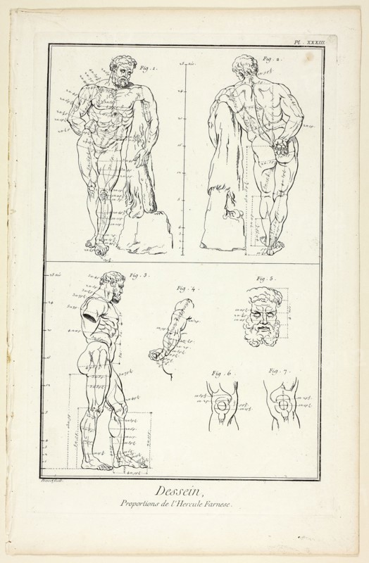 Design: Proportions of the Farnese Hercules, from Encyclopédie, 1762/77, Benoît-Louis Prévost (French, c. 1735-1809), published by André le Breton (French, 1708-1779), Michel-Antoine David (French, c. 1707-1769), Laurent Durand (French, 1712-1763), and Antoine-Claude Briasson (French, 1700-1775), France, Etching, with engraving, on cream laid paper, 320 × 206 mm (image), 355 × 225 mm (plate), 400 × 260 mm (sheet)
