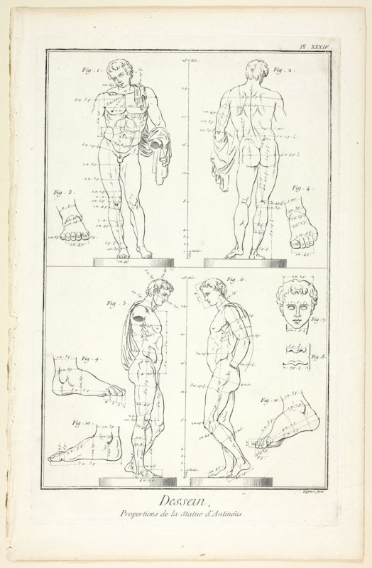 Design: Proportions of the Antinoüs Statue, from Encyclopédie, 1762/77, A. J. Defehrt (French, active 18th century), published by André le Breton (French, 1708-1779), Michel-Antoine David (French, c. 1707-1769), Laurent Durand (French, 1712-1763), and Antoine-Claude Briasson (French, 1700-1775), France, Etching, with engraving, on cream laid paper, 317 × 206 mm (image), 355 × 225 mm (plate), 400 × 260 mm (sheet)
