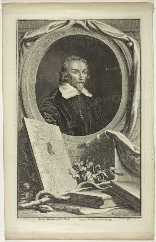 William Harvey, M.D., 1739, Jacobus Houbraken, Dutch, 1698-1780, Holland, Engraving, with etching, on ivory wove paper, 359 x 225 mm (image), 371 x 235 mm (plate), 429 x 272 mm (sheet)