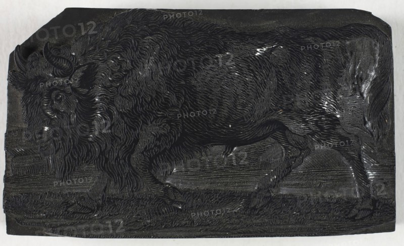 Woodblock for The Urus or Wild Bull, from A General History of Quadrupeds, c. 1790, Thomas Bewick, English, 1753-1828, England, Wood engraving block
