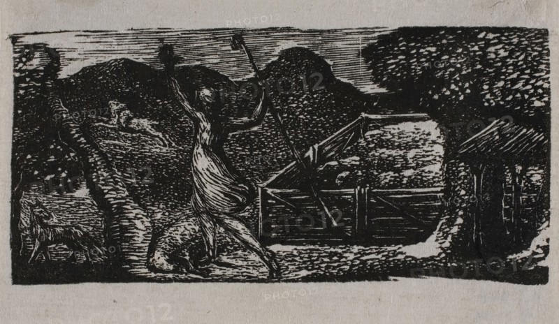 Shepherd Chases Away Wolf, from The Pastorals of Virgil, 1821, William Blake, English, 1757-1827, England, Wood engraving on off-white wove paper, 34 × 73 mm (image/block), 48 × 77 (sheet)