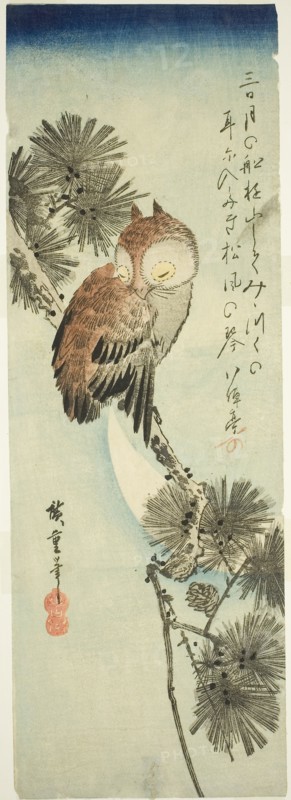 Small-horned owl, pine, and crescent moon, 1830s, Utagawa Hiroshige ?? ??, Japanese, 1797-1858, Japan, Color woodblock print, chutanzaku, 37 x 12.5 cm