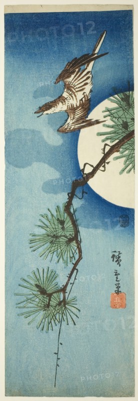 Cuckoo, pine branch, and full moon, c. 1843/47, Utagawa Hiroshige ?? ??, Japanese, 1797-1858, Japan, Color woodblock print, aitanzaku, 34.0 x 11.3 cm