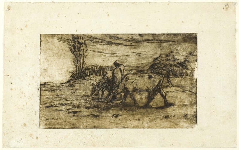The Two Cows, c. 1847, Jean François Millet, French, 1814-1875, France, Etching and drypoint on ivory wove paper, 91 × 153 mm (image), 142 × 227 mm (sheet)