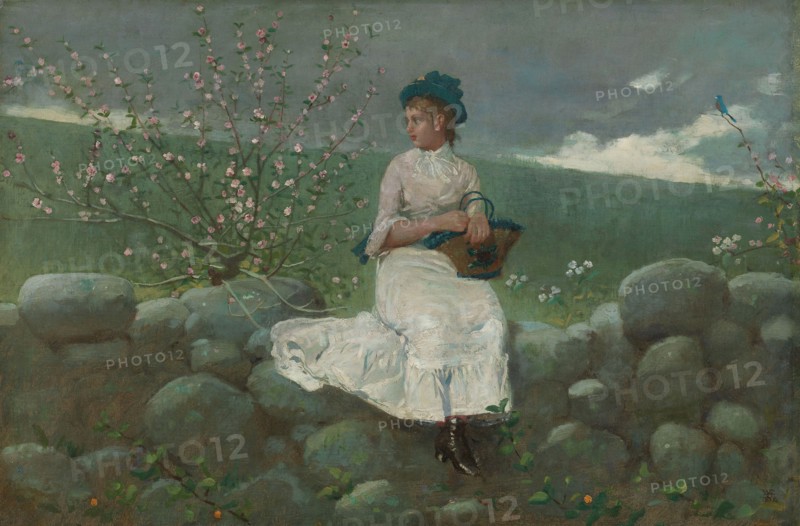 Peach Blossoms, 1878, Winslow Homer, American, 1836–1910, United States, Oil on canvas, 33.7 × 49 cm (13 1/4 × 19 5/8 in.)