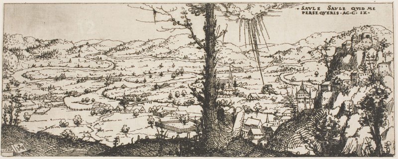 Landscape with a Tree in Center of Foreground, 1545, Augustin Hirschvogel, German, 1503-1553, Germany, Etching on paper, 99 x 251 mm