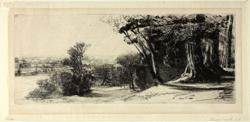 Early Morning, Richmond Park, 1859, Francis Seymour Haden, English, 1818-1910, England, Etching on ivory laid paper, 113 × 279 mm (image/plate), 151 × 305 mm (sheet)