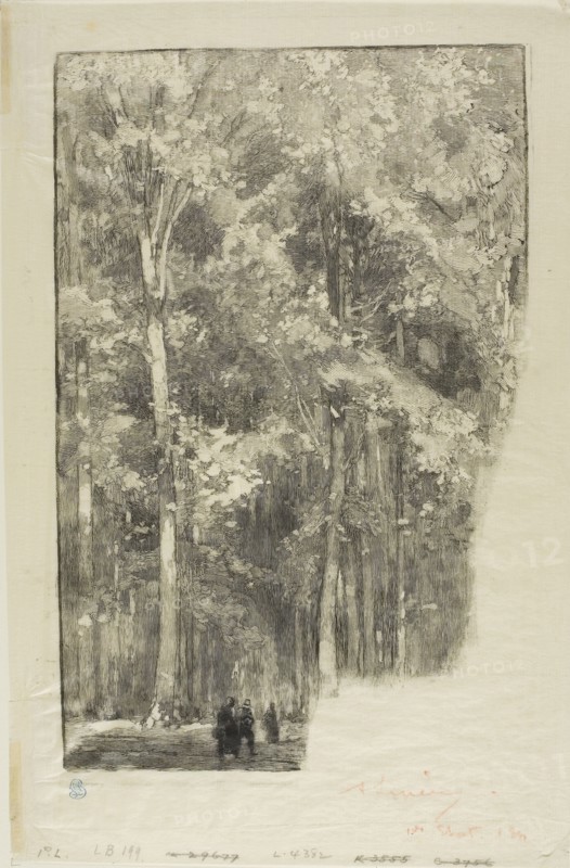 Morning, Crossroads of the Forts de Marlotte, 1889, Louis Auguste Lepère, French, 1849-1918, France, Wood engraving in black on cream laid Japanese paper, 233 × 152 mm (image), 281 × 184 mm (sheet)