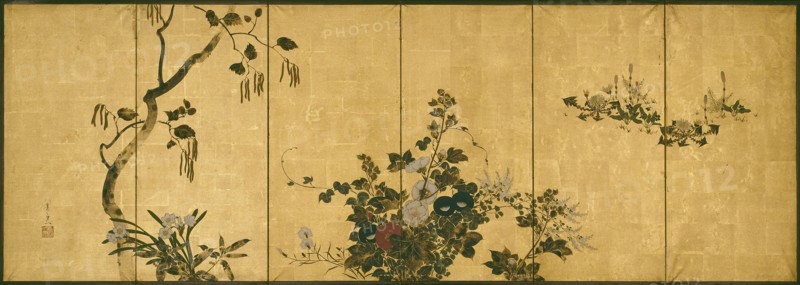 Flowers of Autumn and Winter, 19th century, Suzuki Kiitsu, Japanese, 1796-1858, Japan, Six panel screen, ink, colors and gold leaf on paper, 72.4 x 207.6 cm