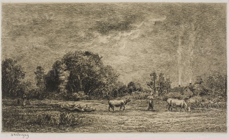 Moonrise, 1861, Charles François Daubigny, French, 1817-1878, France, Etching on cream chine laid down on white wove paper, 95 × 165 mm (image), 135 × 195 mm (plate), 196 × 280 mm (sheet)
