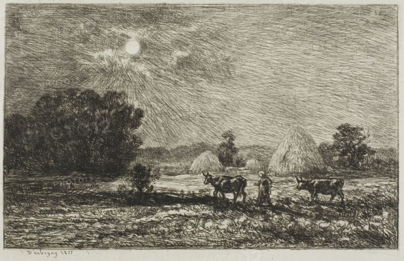 Moonlight at Valmondois, 1877, Charles François Daubigny, French, 1817-1878, France, Etching and drypoint on white laid paper, 217 × 134 mm (image), 135 × 217 mm (plate), 187 × 262 mm (sheet)