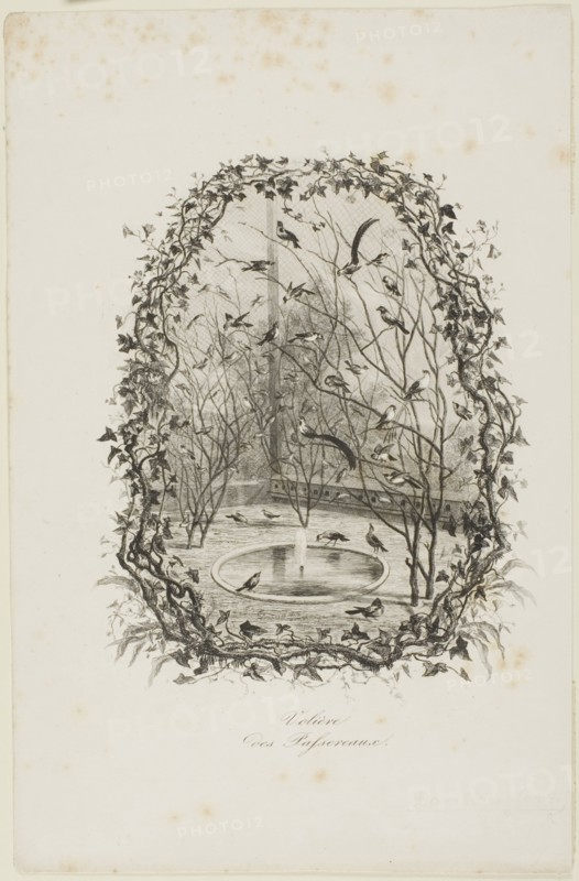 The Sparrow Aviary, 1843, Charles François Daubigny, French, 1817-1878, France, Etching on white wove paper, 272 × 176 mm