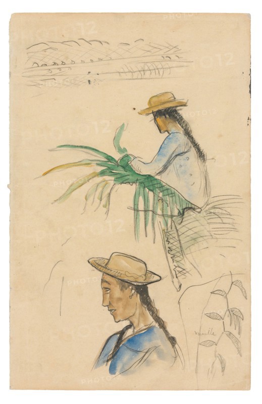 Sketches of Figures, Pandanus Leaf, and Vanilla Plant, 1891/93, Paul Gauguin, French, 1848-1903, France, black fabricated chalk and watercolor on cream wove paper (removed from a sketchbook), 313 × 201 mm