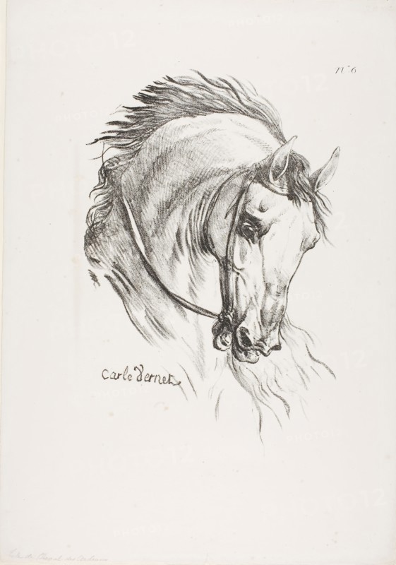 Detail of Horse’s Head, Enlarged to Triple Size, Hussard, Royal Guard, No. 6, c. 1818, Carle Vernet (French, 1758-1836), printed by Comte Charles Philibert de Lasteyrie (French, 1759-1849), France, Lithograph in black on ivory wove paper, 286 × 188 mm (image), 417 × 294 mm (sheet)
