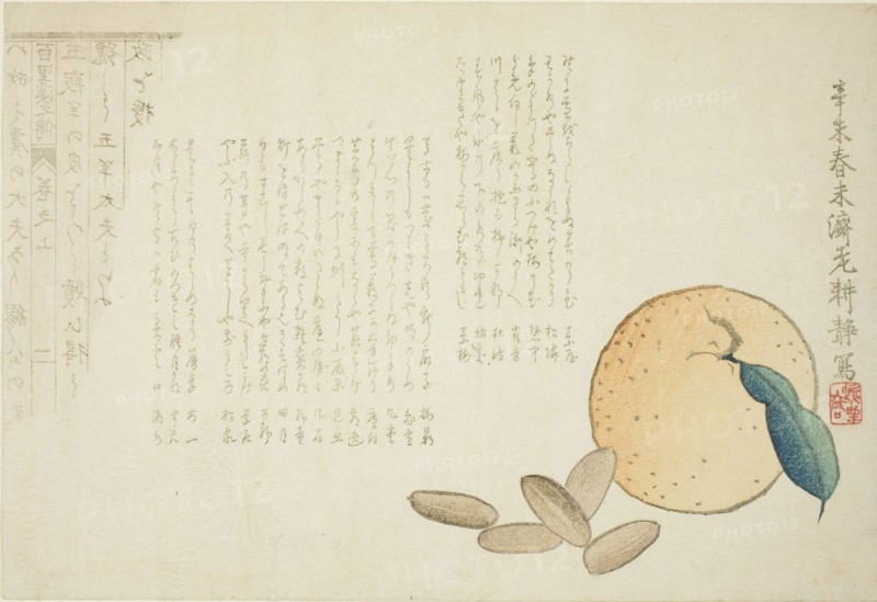Tangerine and Chinese Legend, spring 1871, Kosei, Japanese, active late 19th century, Japan, Color woodblock print, surimono, 27.2 x 18.5 cm