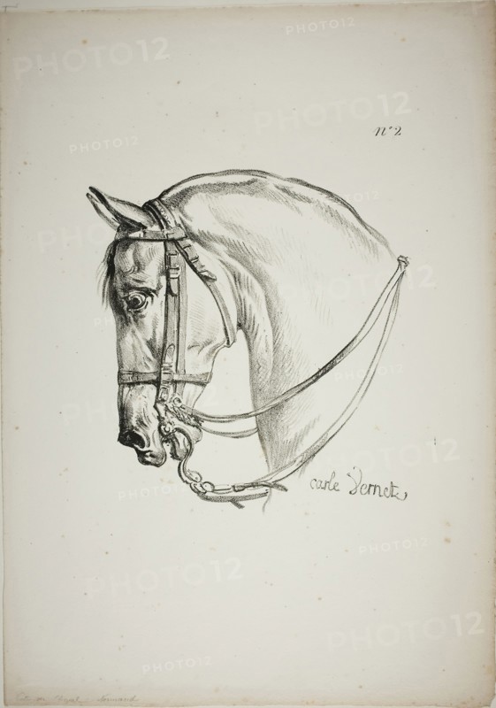 Detail of Horse’s Head, Enlarged to Triple Size, Norman Royal Guard, No. 2, c. 1818, Carle Vernet (French, 1758-1836), printed by Comte de Charles Philibert Lasteyrie du Saillant (French, 1759-1849), France, Lithograph in black on ivory wove paper, 205 × 195 mm (image), 418 × 296 mm (sheet)