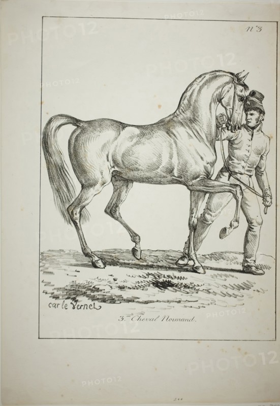 Royal Guard, Norman Cavalier, not in Full Dress, and Horse, No. 3, c. 1818, Carle Vernet (French, 1758-1836), printed by Comte de Charles Philibert Lasteyrie du Saillant (French, 1759-1849), France, Lithograph in black on ivory wove paper, 302 × 226 mm (image), 386 × 268 mm (sheet)