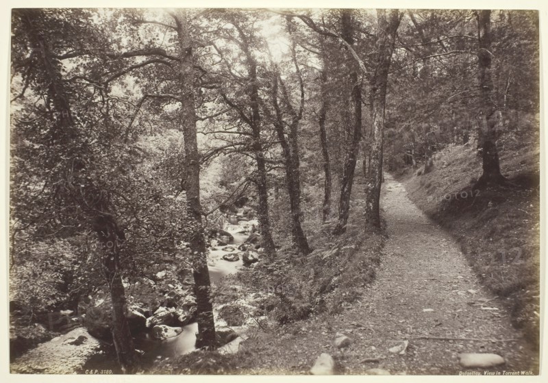 Dolgelley, View in Torrent Walk, 1860/94, Francis Bedford, English, 1816–1894, England, Albumen print, 19.9 × 28.8 cm (image/paper)