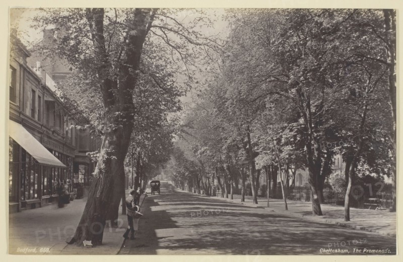 Cheltenham, the Promenade, 1860/94, Francis Bedford, English, 1816–1894, England, Albumen print, 12.6 × 19.8 cm (image/paper)