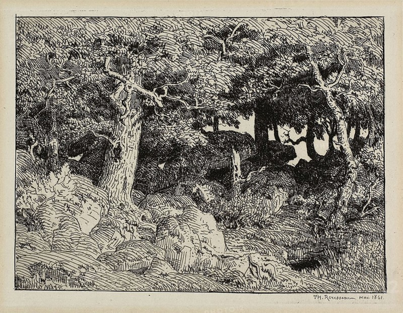 Oak from Rocks, 1861, Théodore Rousseau (French, 1812-1867), printed by Auguste Delâtre (French, 1822-1907), France, Etching on ivory laid paper, 125 × 168 mm (image), 134 × 208 mm (plate), 202 × 285 mm (sheet)