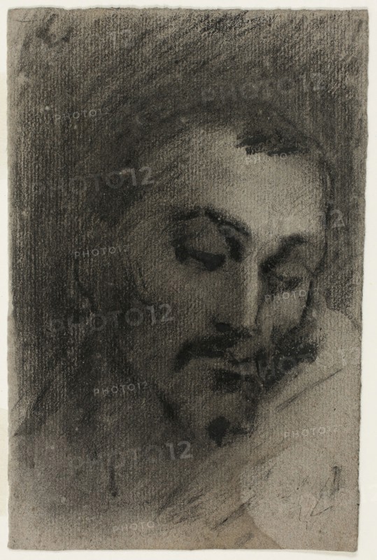 Head of a Man, n.d., Jean Baptiste Carpeaux, French, 1827-1875, France, Black chalk and black crayon, with stumping, on gray laid paper, 154 × 103 mm