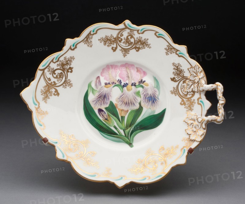 Dish, c. 1825, Spode Pottery & Porcelain Factory, English, founded 1776, Stoke on Trent, Porcelain, polychrome enamels and gilding, 5.7 x 22.5 x 26.4 cm (2 1/4 x 8 7/8 x 10 3/8 in.)