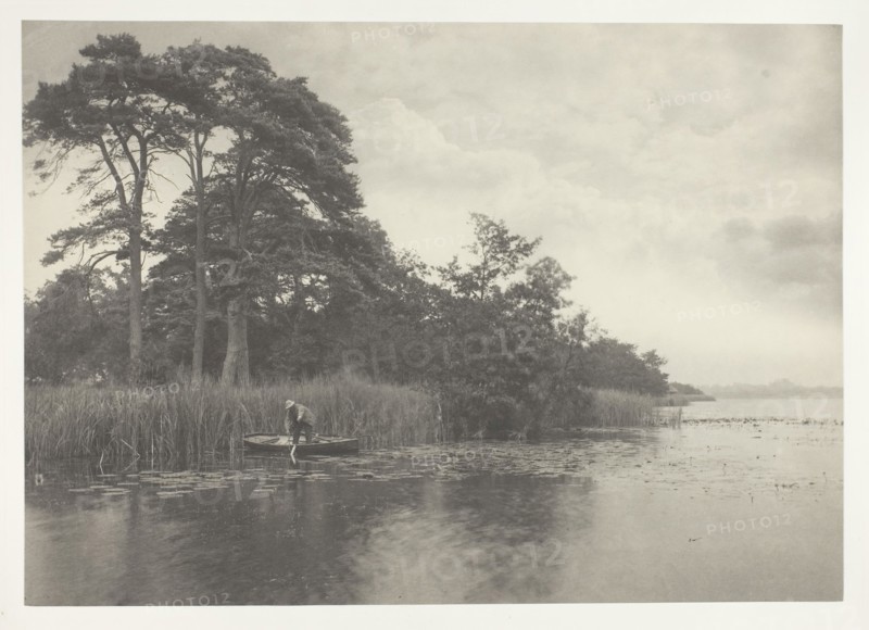 The Haunt of the Pike, 1886, Peter Henry Emerson, English, born Cuba, 1856–1936, England, Platinum print, pl. XV from the album "Life and Landscape on the Norfolk Broads" (1886), edition of 200, 20.4 × 28.9 cm (image/paper), 28.6 × 41.1 cm (album page)