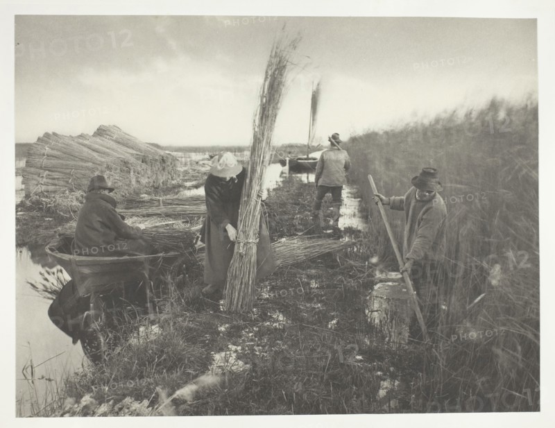 During the Reed Harvest, 1886, Peter Henry Emerson, English, born Cuba, 1856–1936, England, Platinum print, pl. XXVIII from the album "Life and Landscape on the Norfolk Broads" (1886), edition of 200, 21.8 × 28.7 cm (image/paper), 28.5 × 40.9 cm (album page)