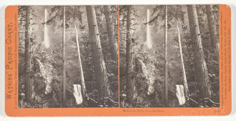 Multnomah Falls, Columbia River, 1867, Carleton Watkins, American, 1829–1916, United States, Albumen print, stereo, No. 1239 from the series "Watkins' Pacific Coast