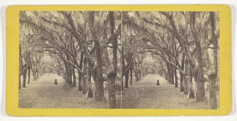 Bonaventure, 1860/80, J. N. Wilson, American, 1827–1897, United States, Albumen print, stereo, 7.6 x 7.9 cm (left image), 7.6 x 7.6 cm (right image), 8.7 x 17.6 cm (card)