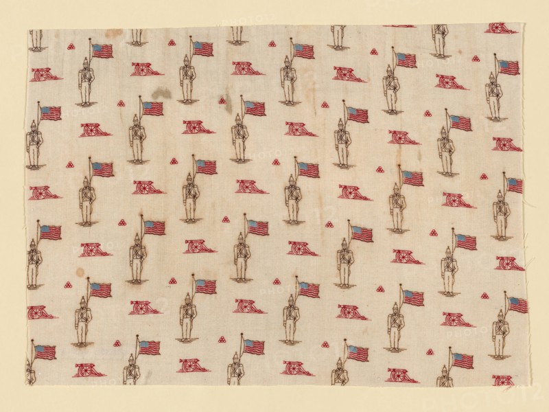 Fragment, 1876, United States, Cotton, plain weave, roller printed, 19 × 26.5 cm (7 1/2 × 10 1/2 in.)